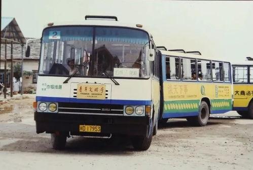 公车爱爱在线视频