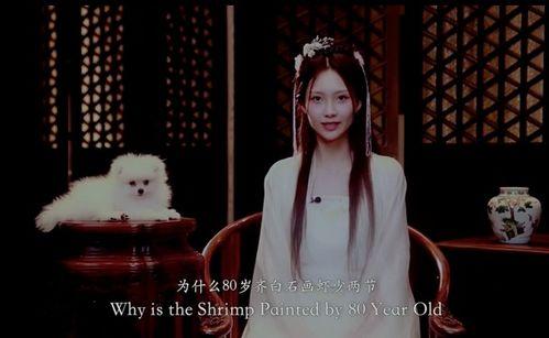 国产00后高中在线视频,00后高中生活在线视频全景扫描